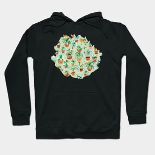 Home Succulent Plants Soft green Hoodie